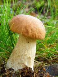 Similar image 768877