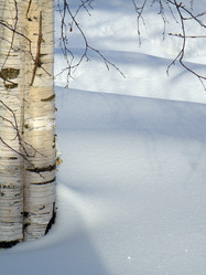 Similar image 768880