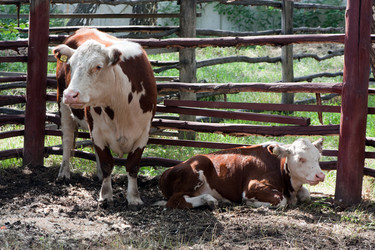 Similar image 768930