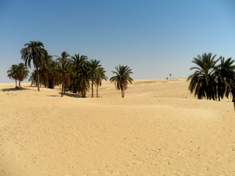 Similar image 768931