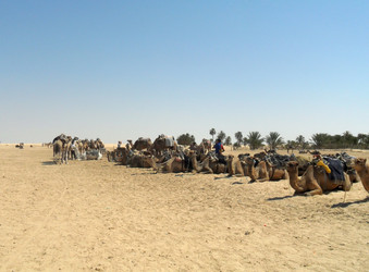 Similar image 768933