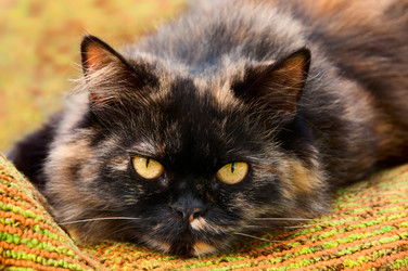 Similar image 768976