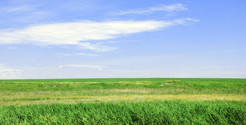 Similar image 769003