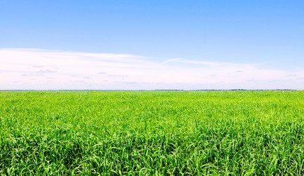 Similar image 769005