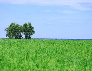 Similar image 769006