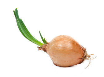 Similar image 769034