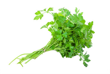 Similar image 769037