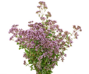 Similar image 769051