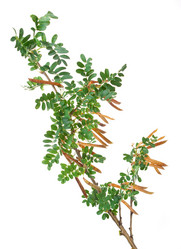 Similar image 769055