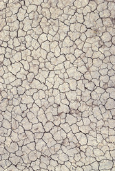 Similar image 769087