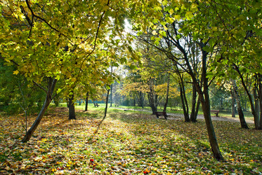 Similar image 769095