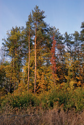 Similar image 769097