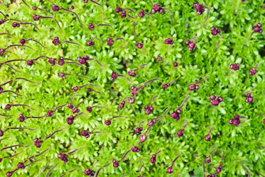 Similar image 769099