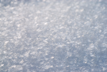 Similar image 769122