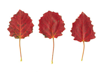 Similar image 769138