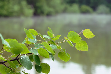 Similar image 769143