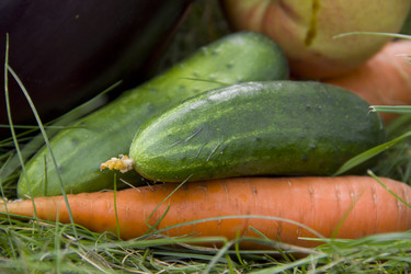 Similar image 769148