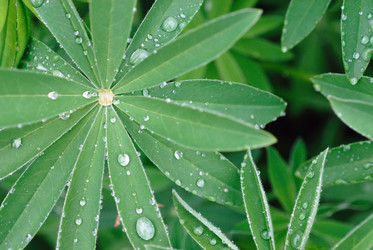 Similar image 769150