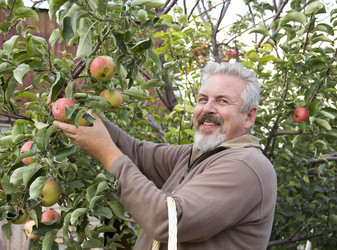 Similar image 769155