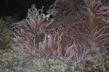 Similar image 769157