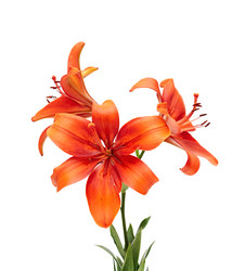 Similar image 769168