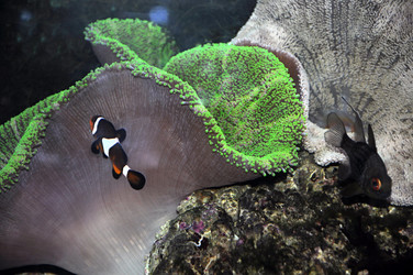 Similar image 769184