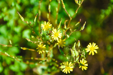 Similar image 769204