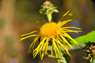 Similar image 769207