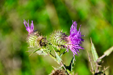 Similar image 769214