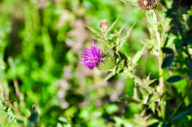 Similar image 769217