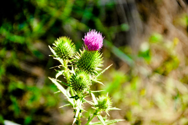 Similar image 769219