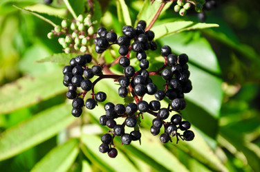 Similar image 769221