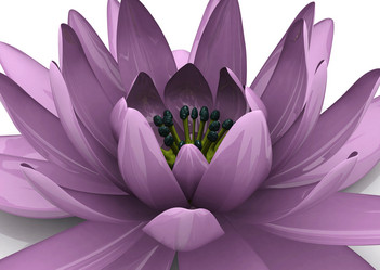 Similar image 769230