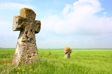 Similar image 769261