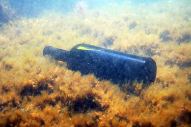 Similar image 769374