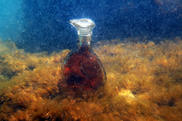 Similar image 769383