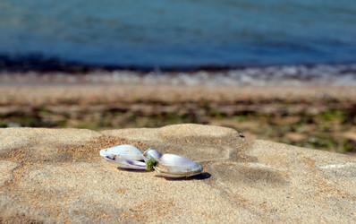 Similar image 769477