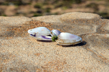 Similar image 769482