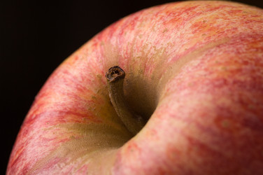 Similar image 769492