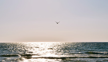 Similar image 769526