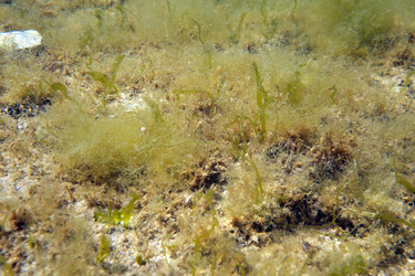 Similar image 769589