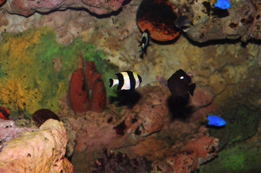 Similar image 769649