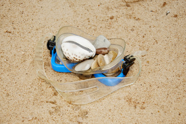 Similar image 769659