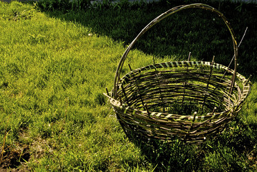 Similar image 769666