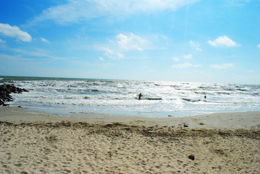 Similar image 769672