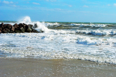 Similar image 769674