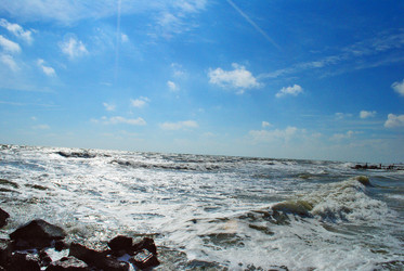 Similar image 769675