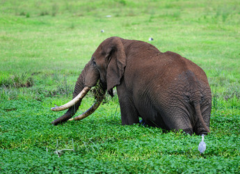 Similar image 769687