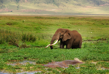 Similar image 769691