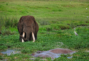 Similar image 769693